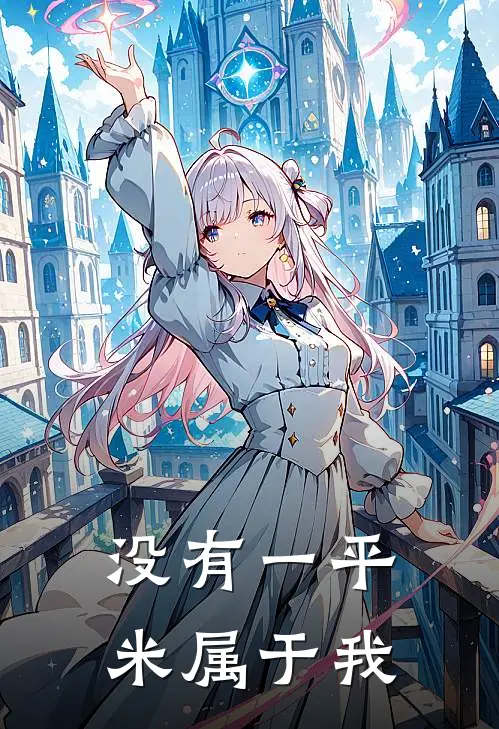 没有一平米属于我