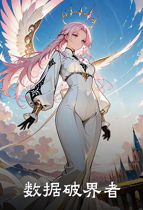 数据破界者