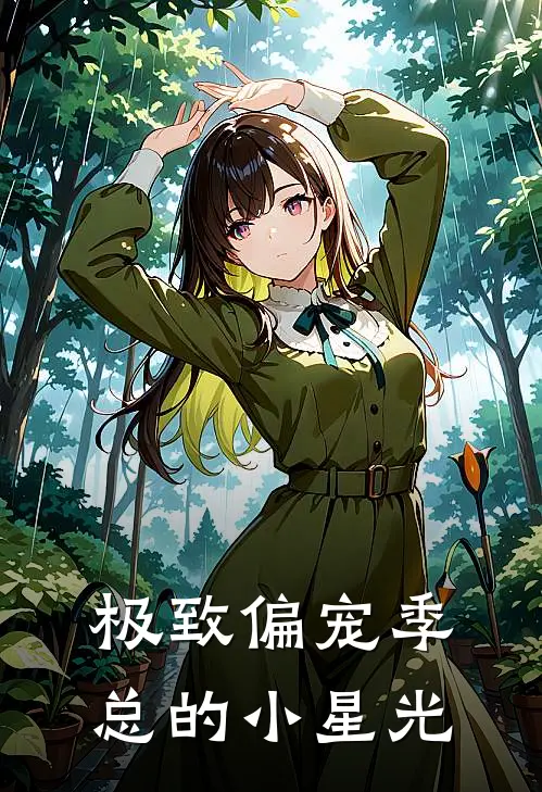 极致偏宠季总的小星光